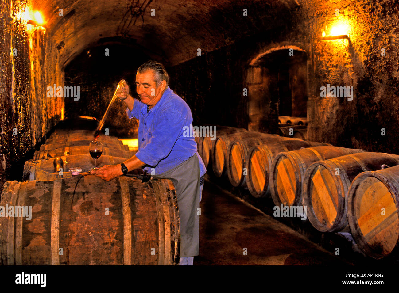 Pontet Cellar Master Chateau Medoc Cellar Cask Wine Bottler