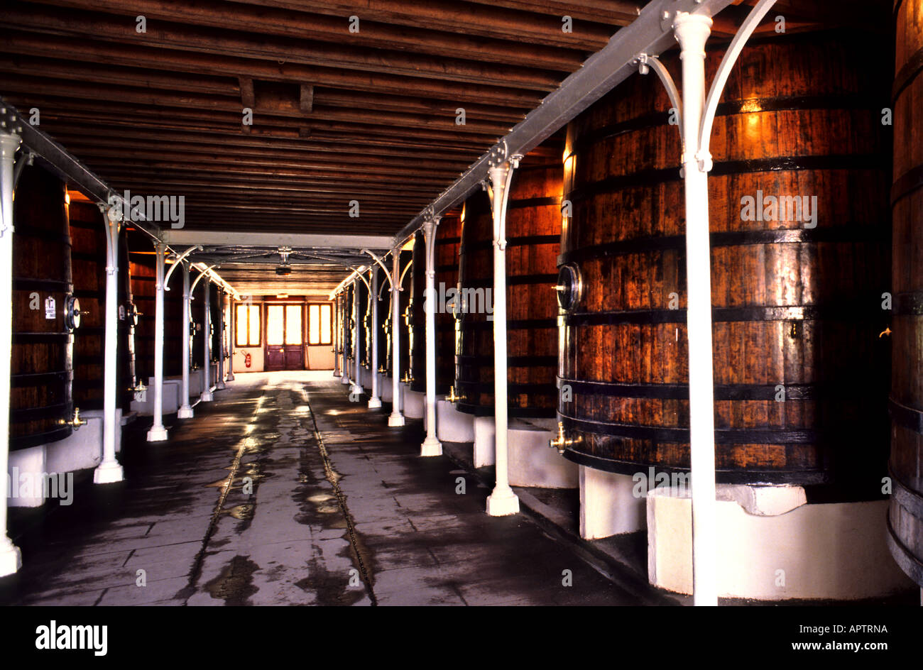 Pontet Chateau Medoc Cellar Cask Wine Bottler Production Stock