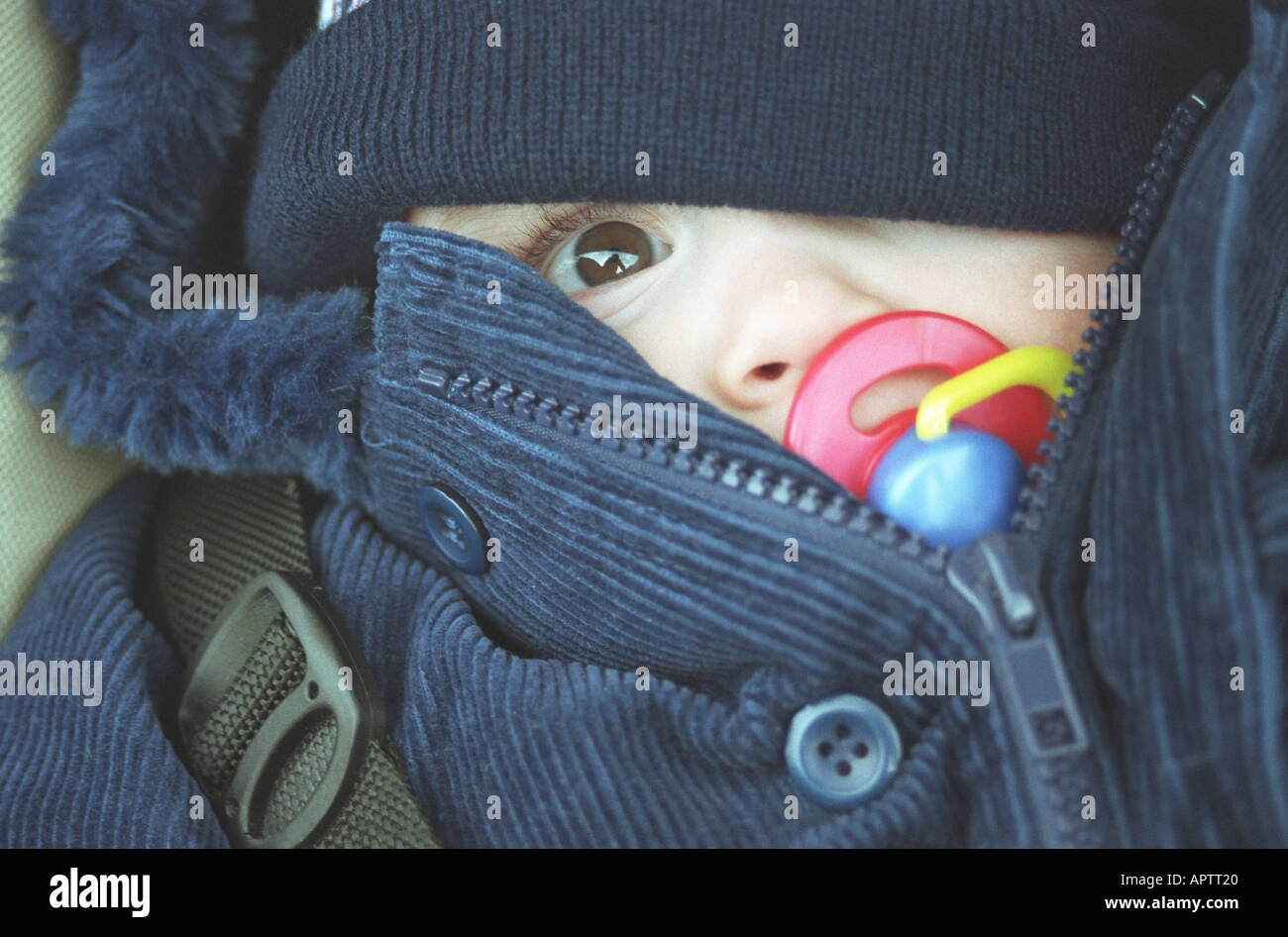 Baby dummy in pram hi-res stock photography and images - Alamy
