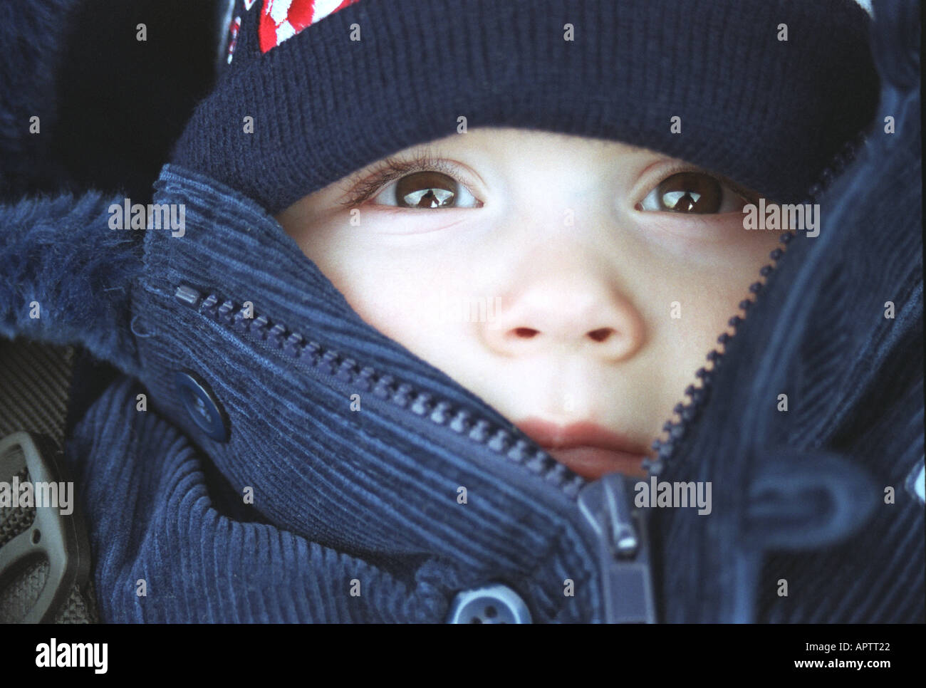 Baby dummy in pram hi-res stock photography and images - Alamy