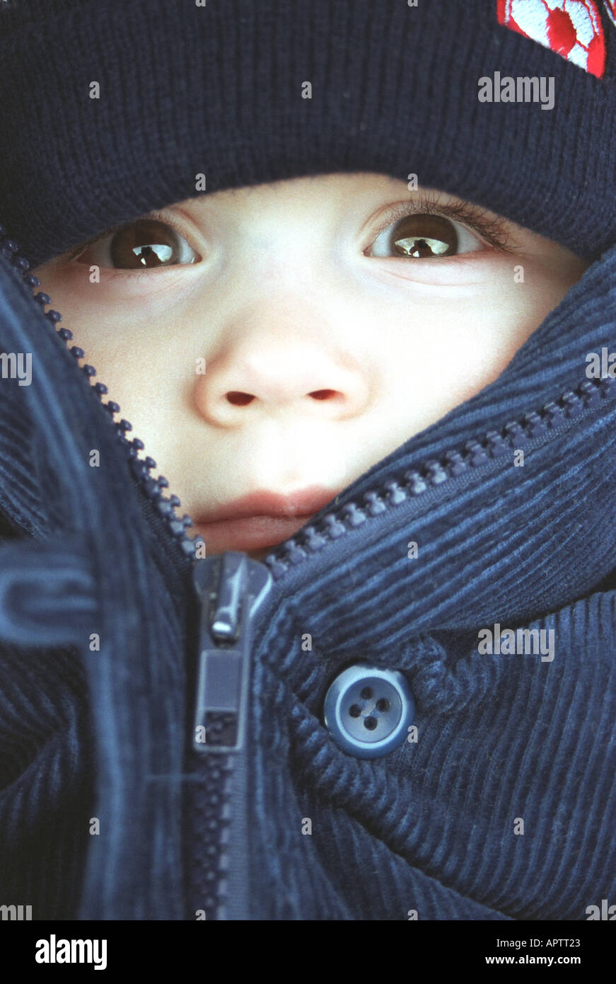 Baby dummy in pram hi-res stock photography and images - Alamy