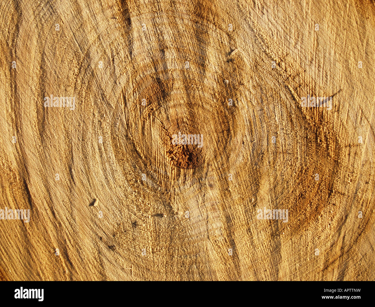 tree stump rings age golden brown pattern Stock Photo - Alamy