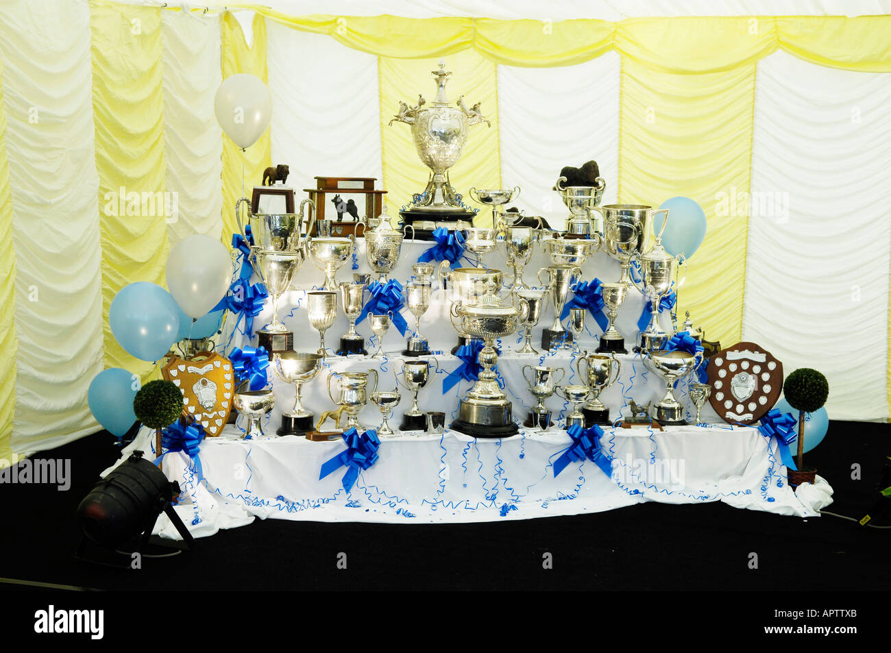 Dog show sale prizes