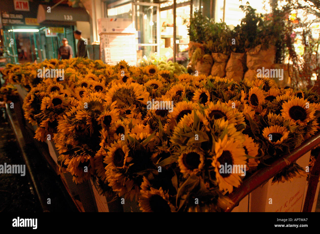 Chelsea NYC Flower District Stock Photo Alamy