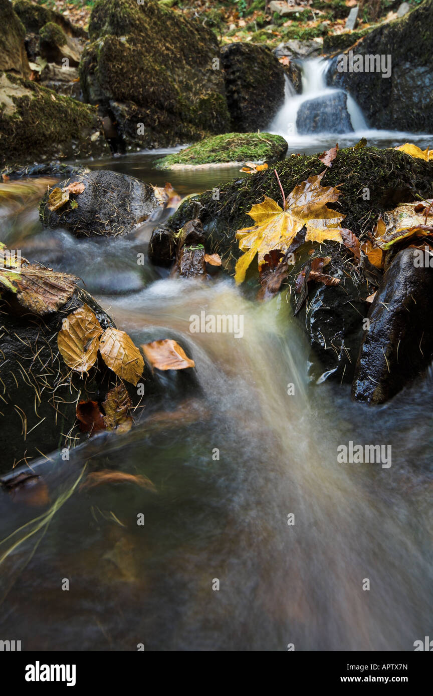 Mountain stream in autumn , Cumbria , England Stock Photo