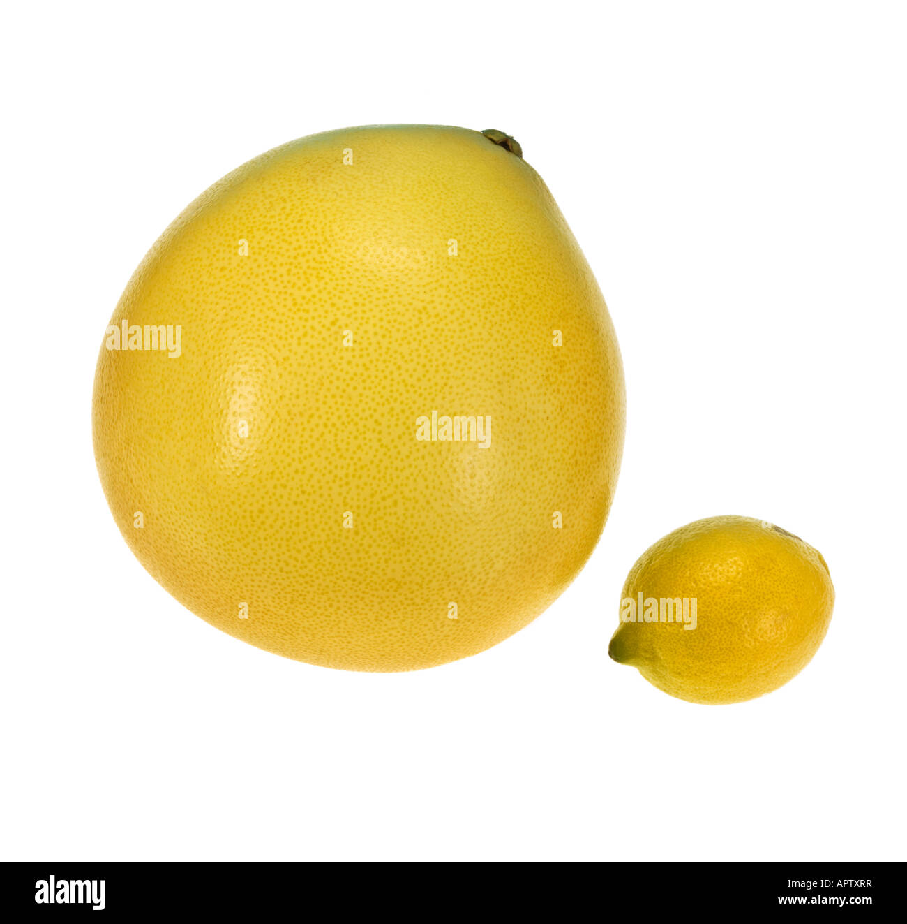 Pomelo picture High Resolution Stock Photography and Images Alamy