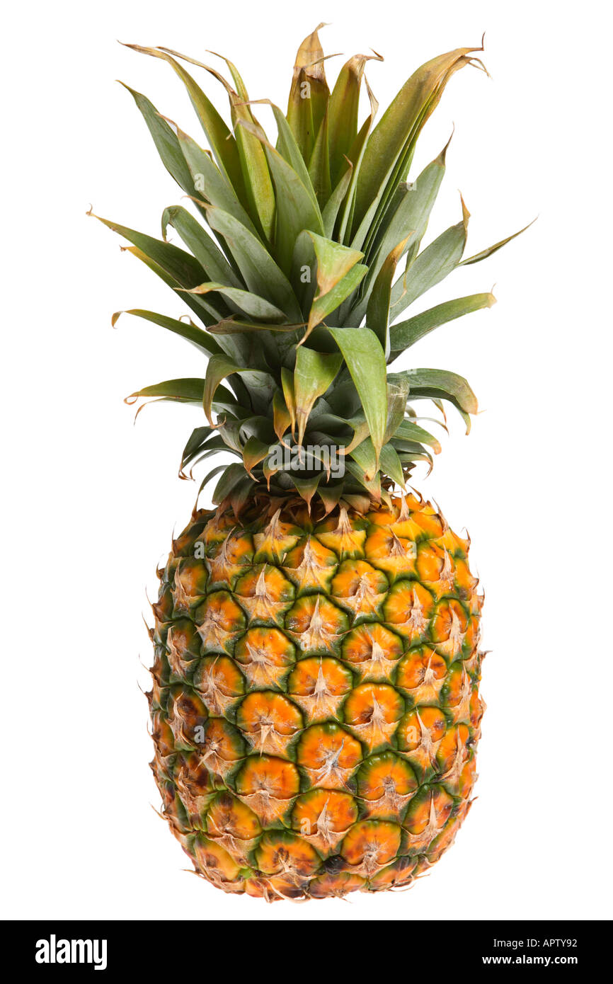 Whole pineapple icon hi-res stock photography and images - Alamy