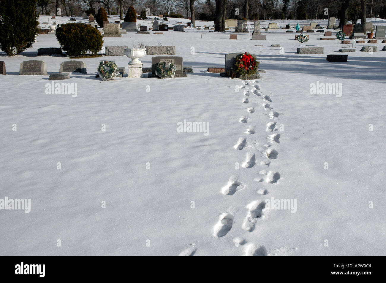 Footprints in the snow at winter time lead to a grave marker at a
