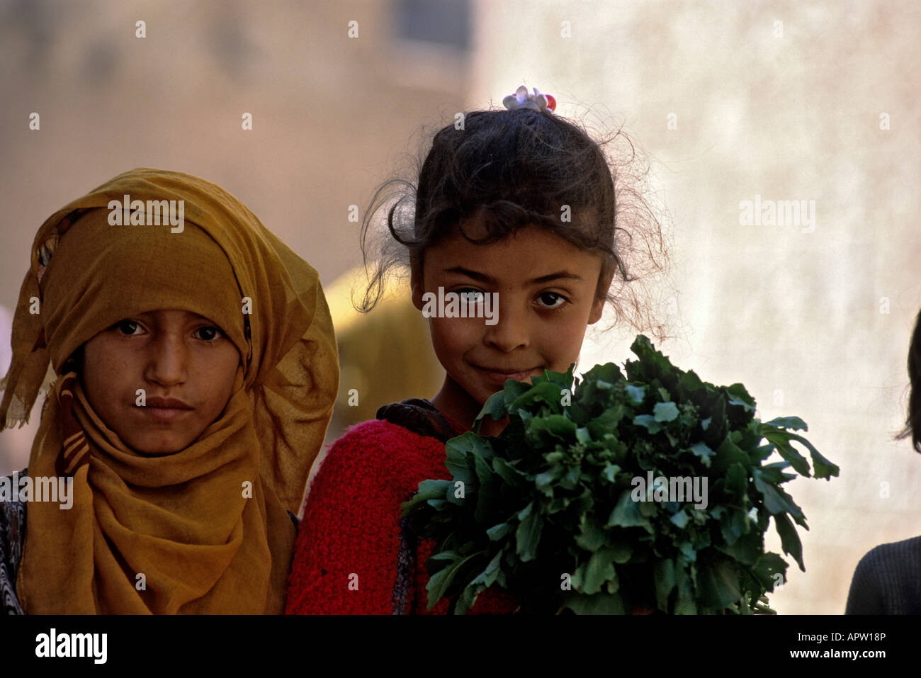 Yemen Sanaa Stock Photo