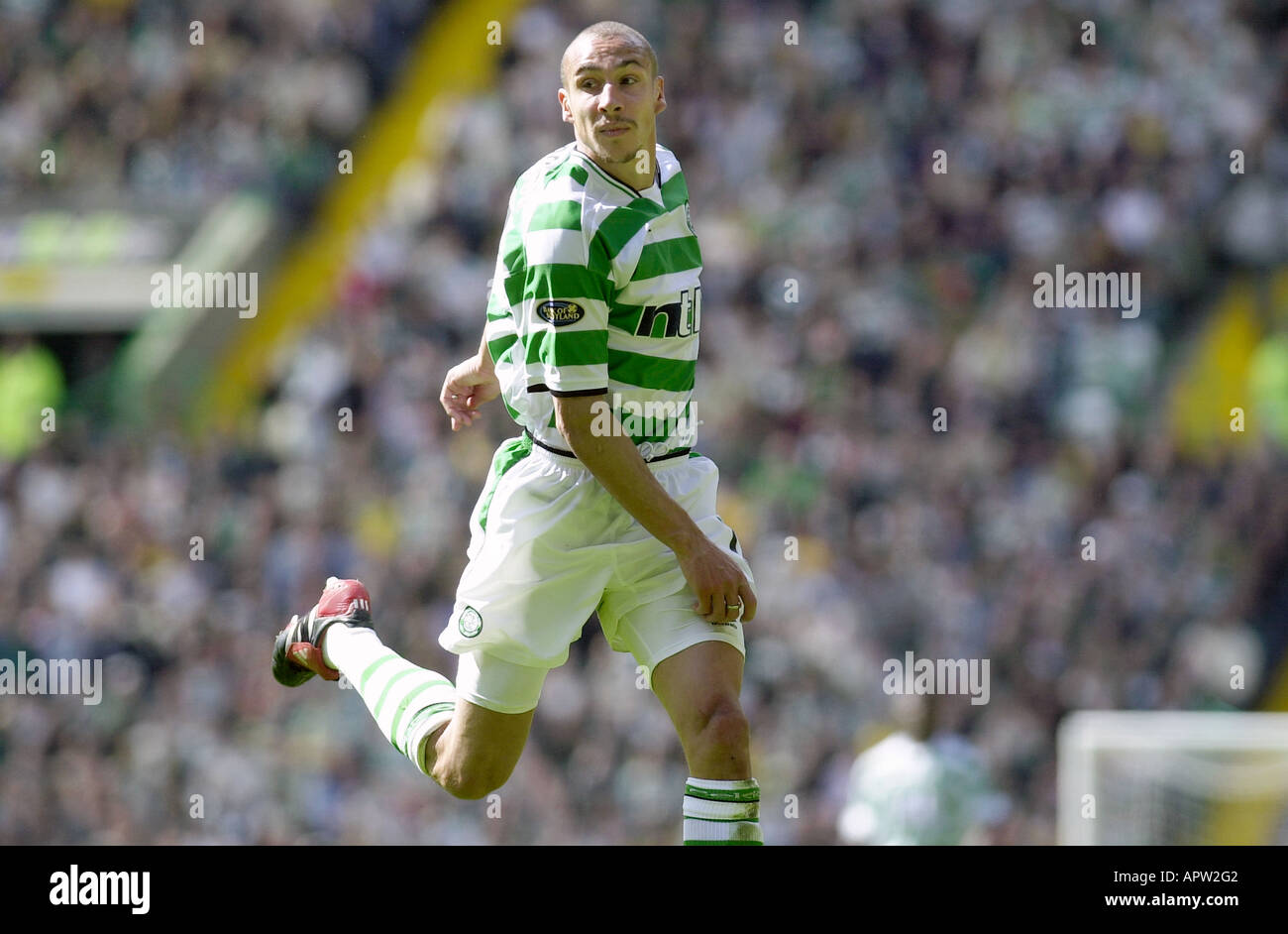 Celtic FC Prints on Twitter:, henrik larsson HD phone wallpaper