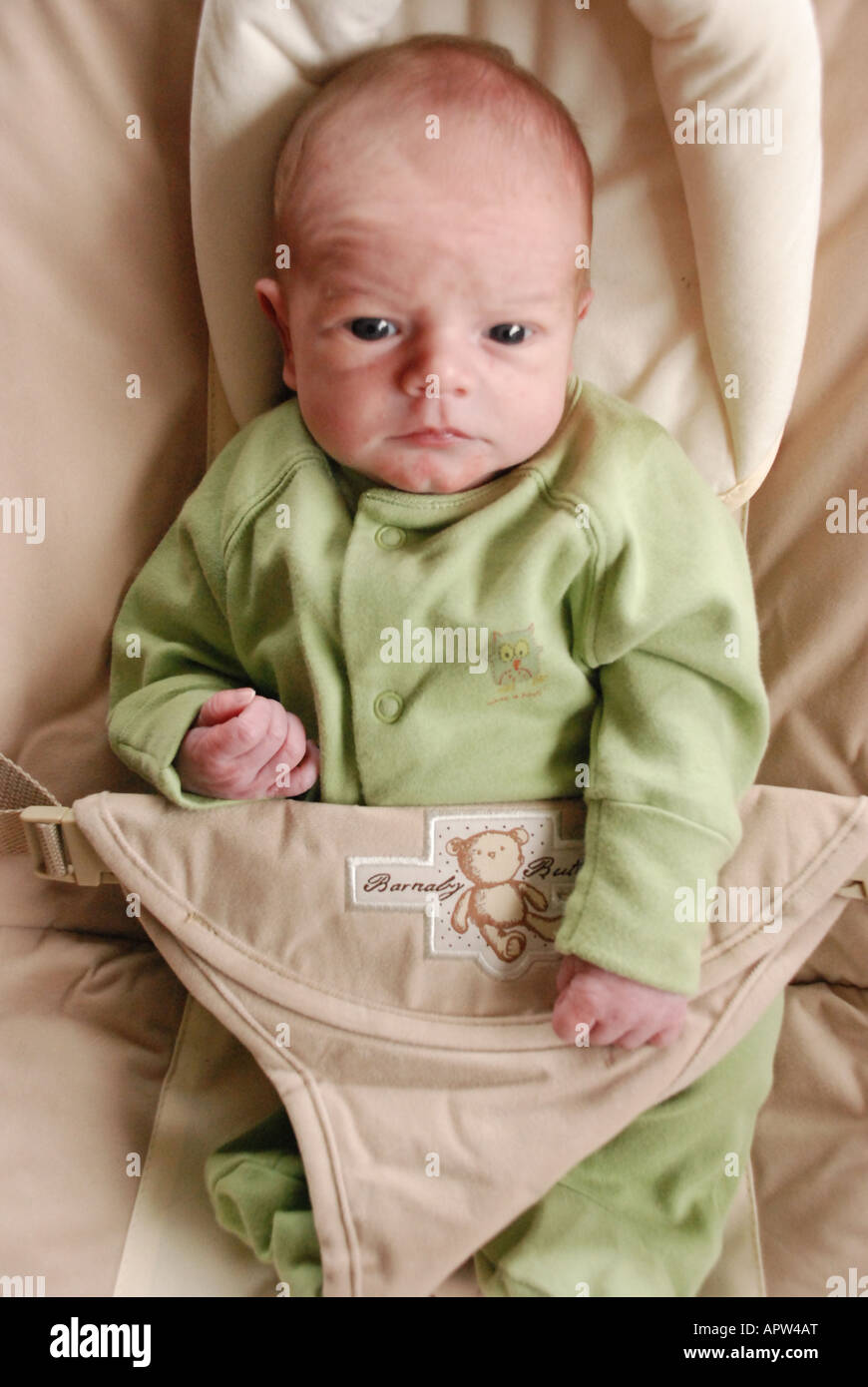 newborn in baby bouncer