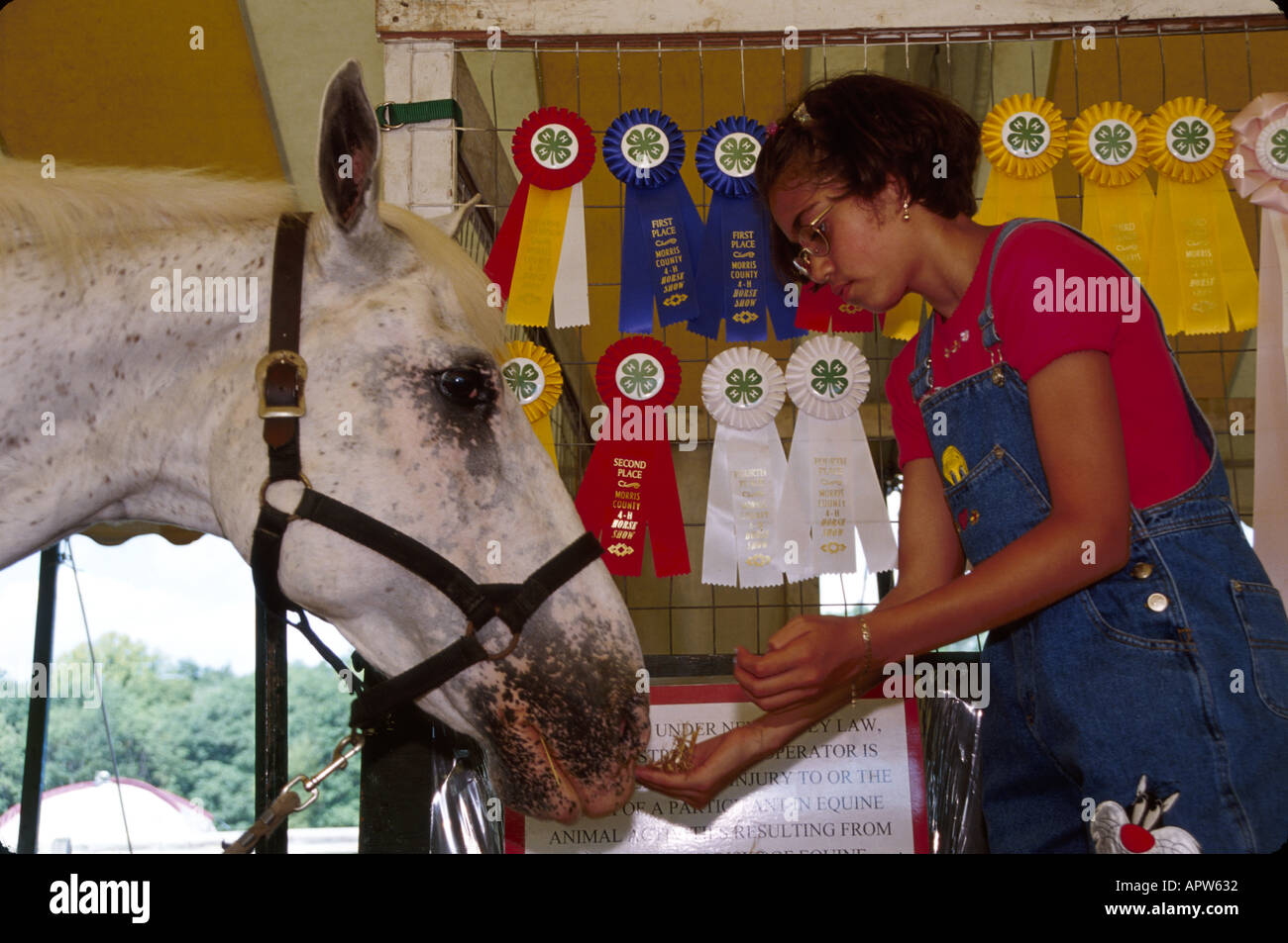 New Jersey,Chester,4 H Fair,family families parent parents child children,mother mom,father dad,activity,agriculture,agricultural,Black Blacks African Stock Photo