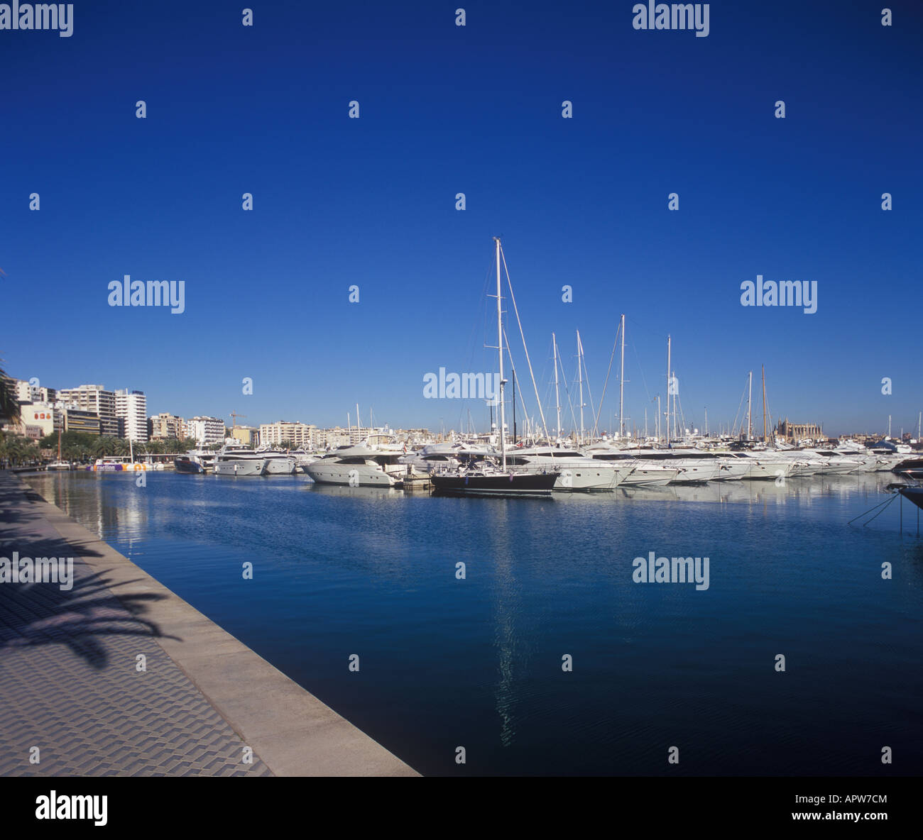 Luxury Boats and Yachts moored in the Marina Port de Mallorca on Paseo Maritimo in Palma de Mallorca Balearic Islands Spain. Stock Photo