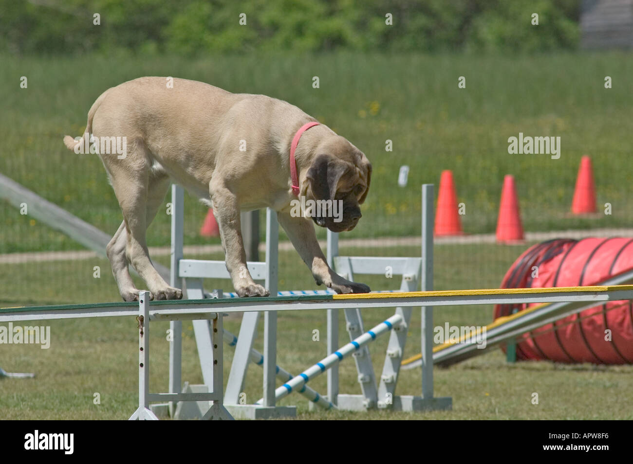 Teeter totter balance hires stock photography and images Alamy