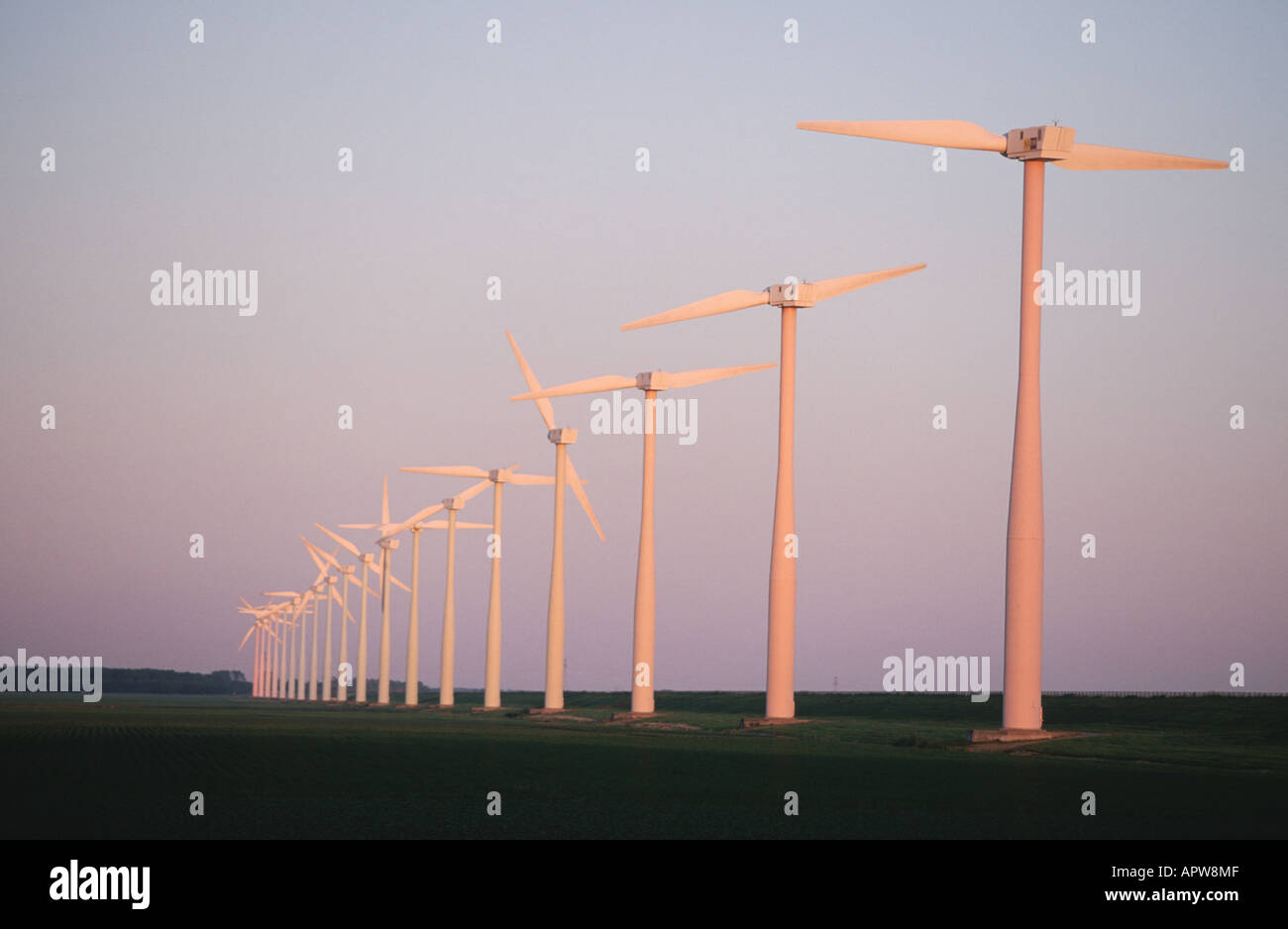 windpower engines in evening light, Netherlands Stock Photo
