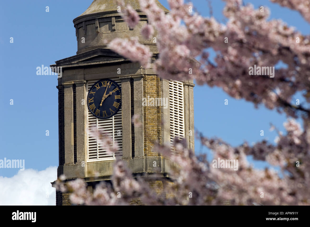Spring blossom in Egham United Kingdom Stock Photo
