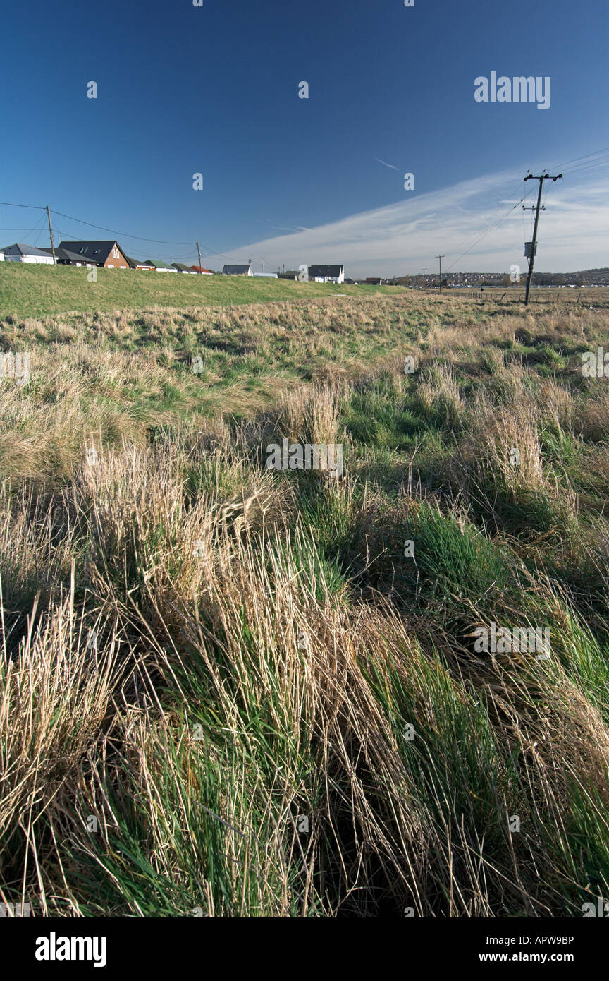 Seasalter levels, Kent, England Stock Photo Alamy