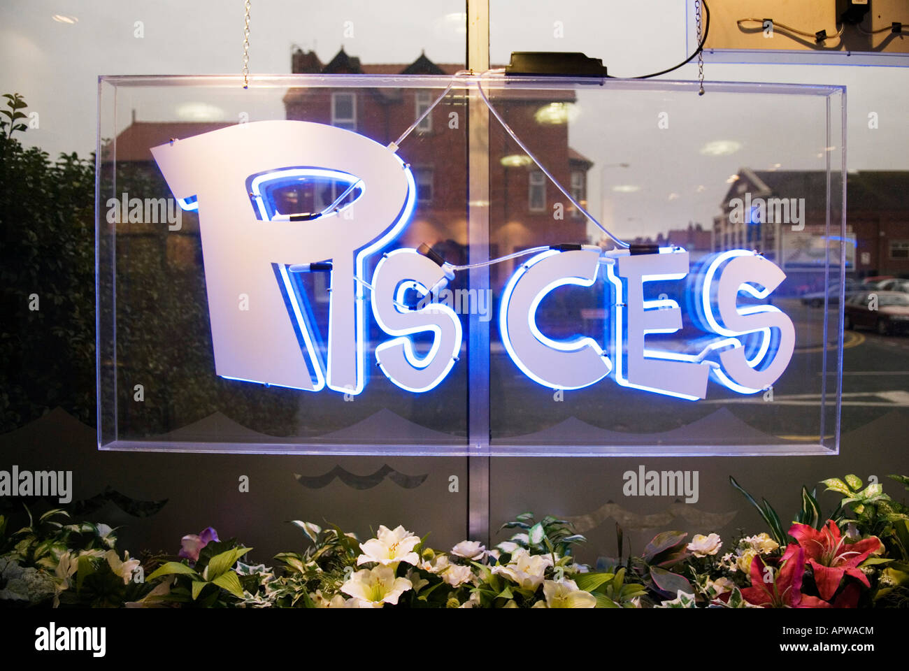 Neon fish sign hi-res stock photography and images - Alamy