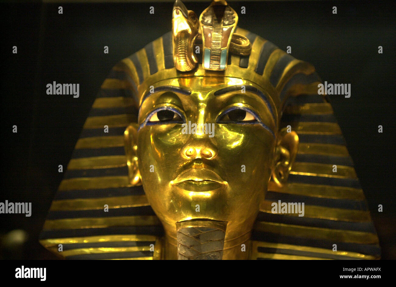 toetanchamon, cairo national museum Stock Photo