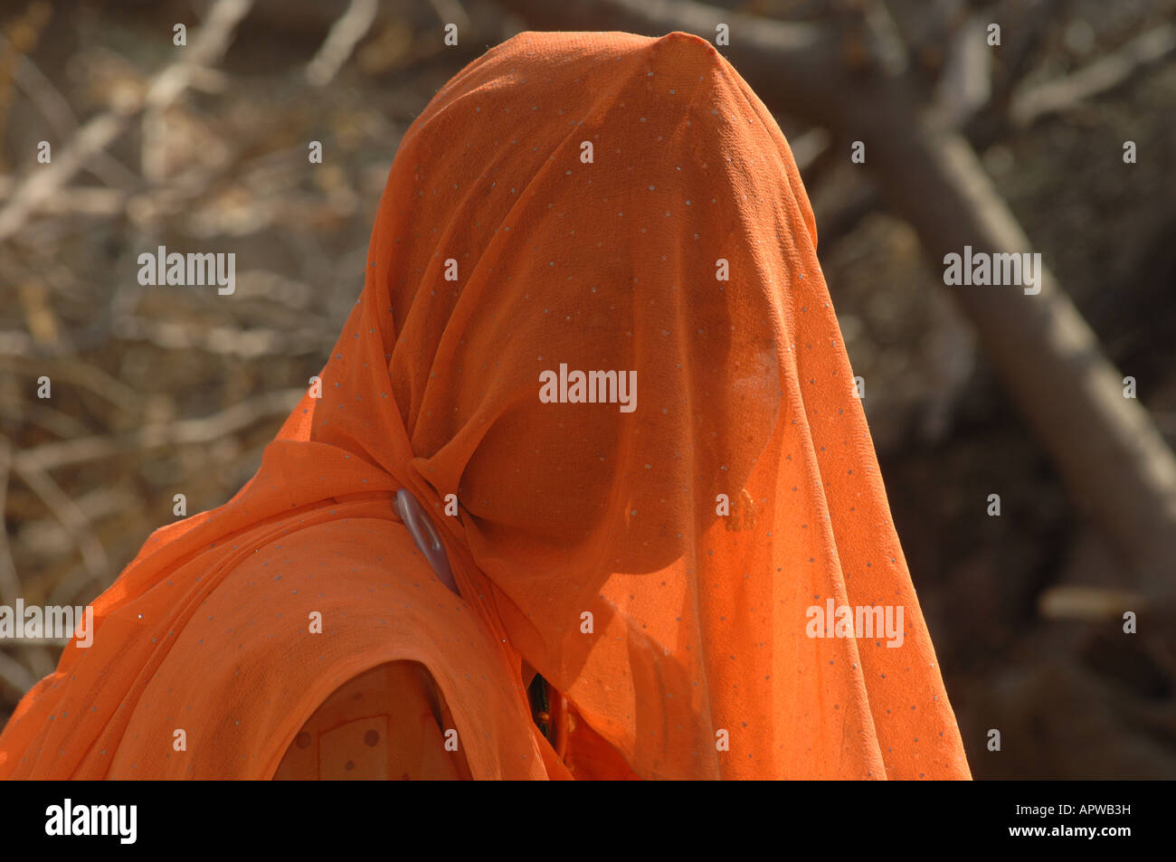 woman behind veil in India Stock Photo - Alamy