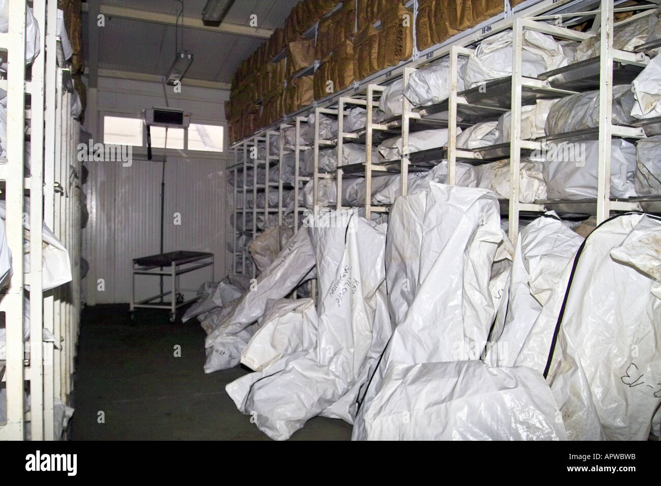 Body bags international commission missing persons bosnia herzegovina