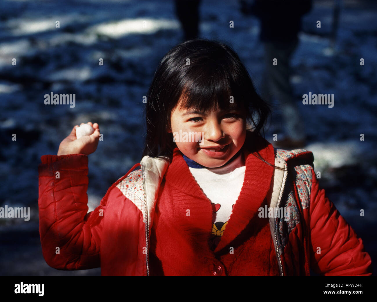 girl 7 years old holds small snowball from a rare snowfall in the Santa Cruz Mountains California Stock Photo