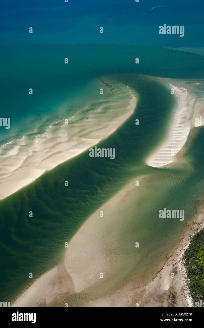 Daintree River Mouth Daintree National Park World Heritage Area North ...