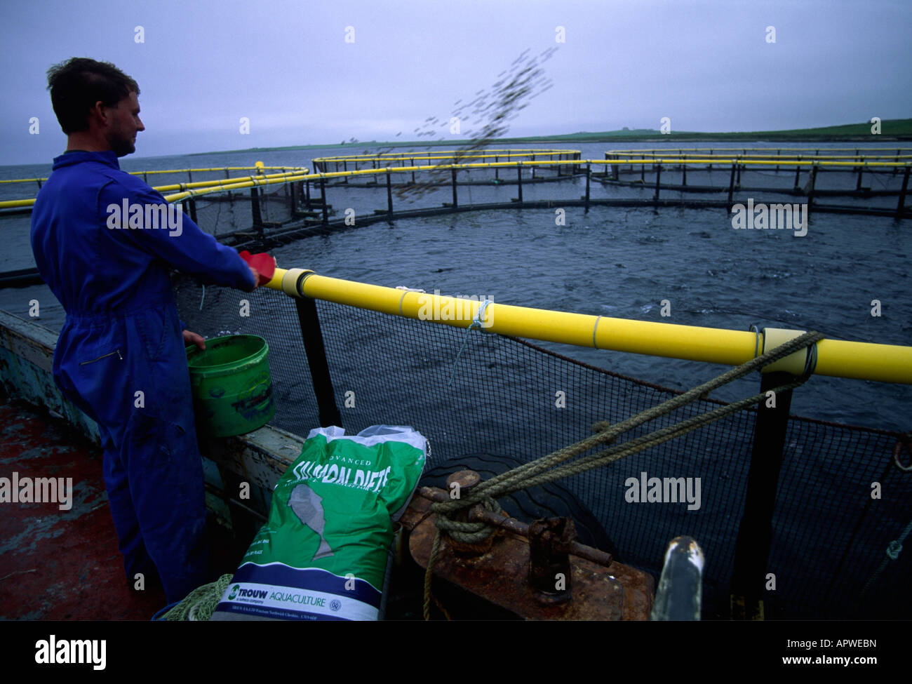 organic salmon farming UK Scotland Stock Photo