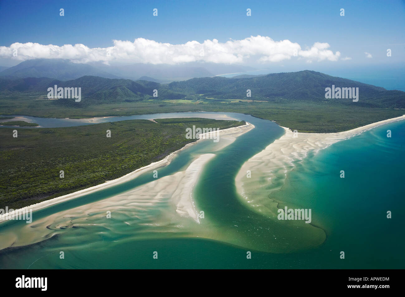 Daintree River Mouth Daintree National Park World Heritage Area North Queensland Australia