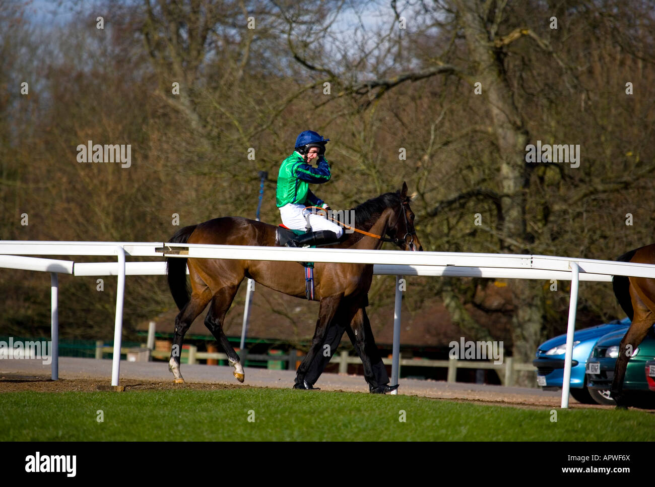 Lingfield park horse racing course 2nd february 2008 UK Stock Photo