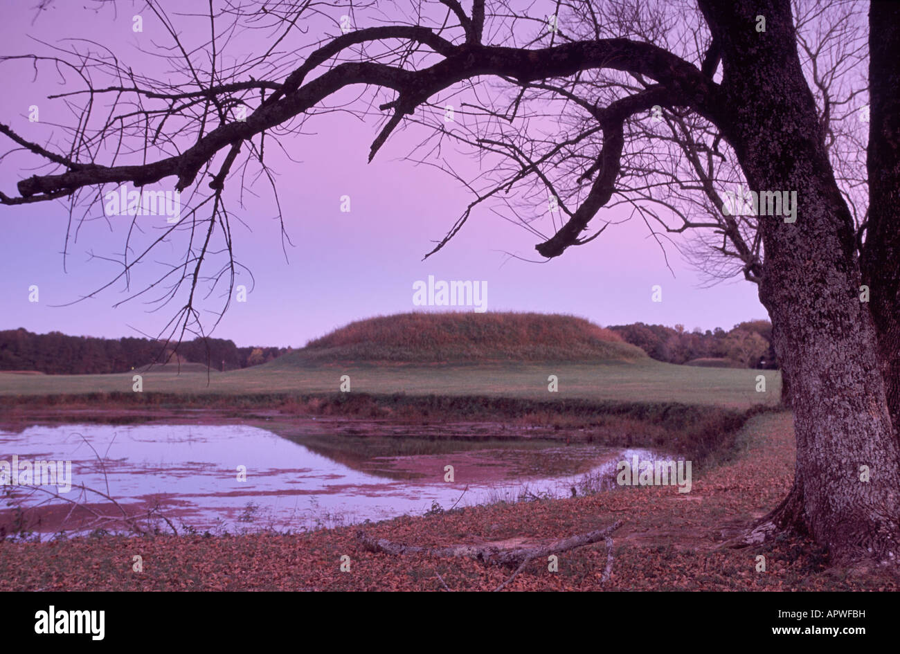 Indian mounds at Moundville Archaeological Park dawn Alabama USA Stock Photo