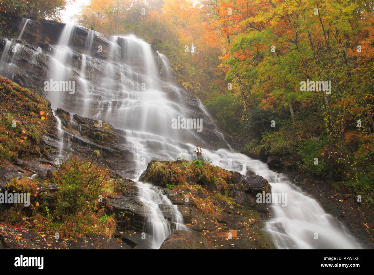 Amicalola Falls, Amicalola Falls State Park, Juno, Georgia, USA Stock ...