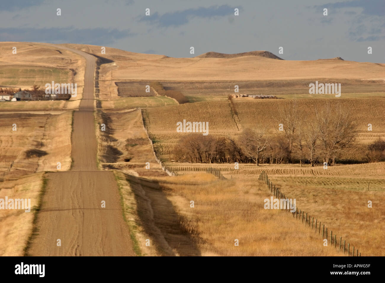 The rolling hills N of Rockglen in scenic Southern Saskatchewan Canada