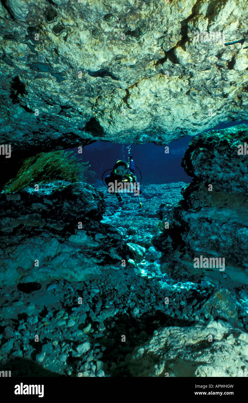 Ginnie Springs Florida fresh water spring cavern scuba sport diving