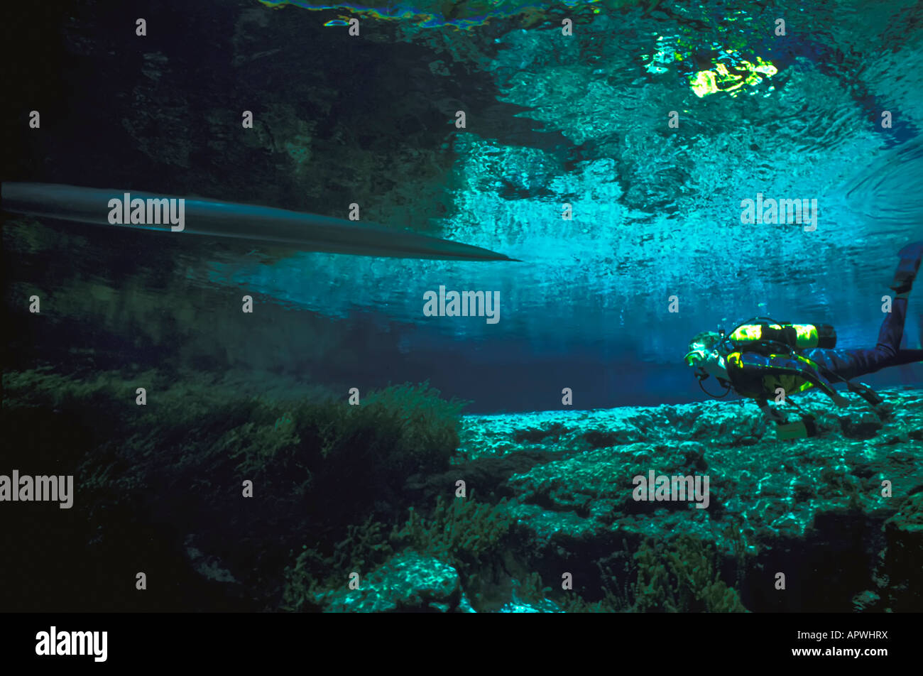 Florida underwater fresh water spring diving Ginnie Springs High Springs florida, scuba diver swims under boat in clear water Stock Photo