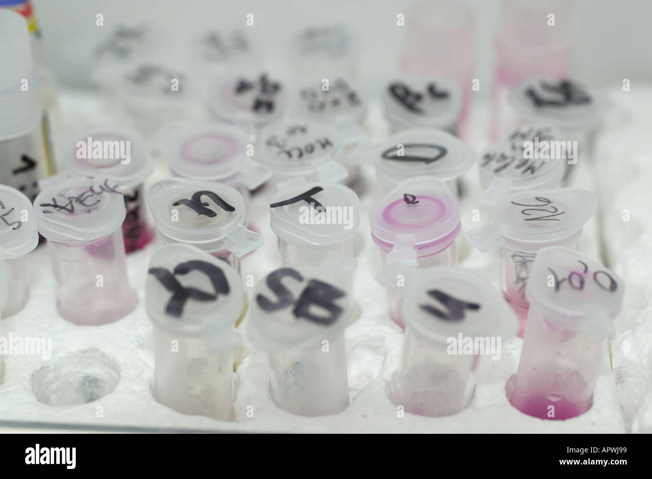 a lot of white flasks with numbers Stock Photo Alamy