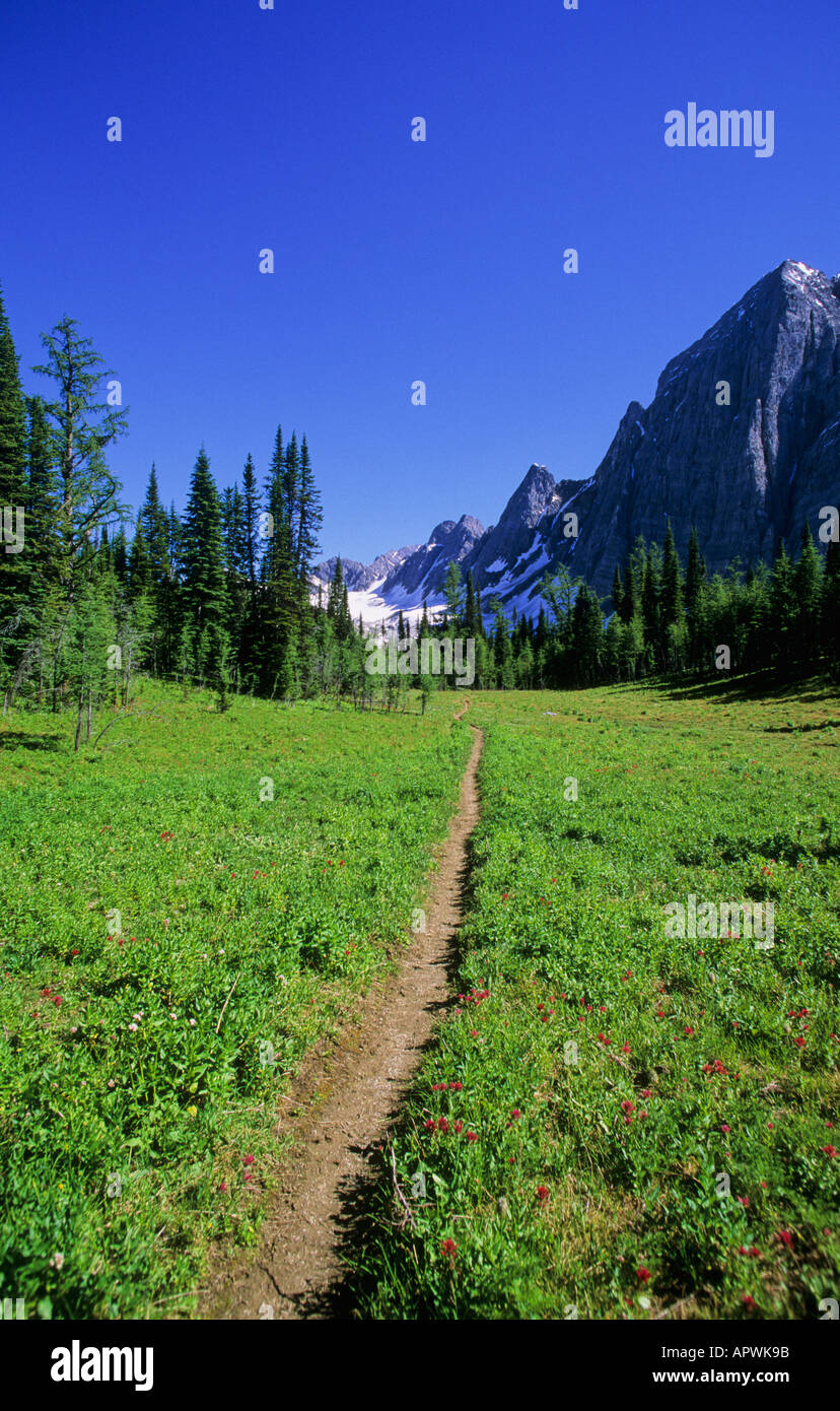 A Hiking Trail Winds Through Beautiful Subalpine Meadows Below The Rockwall Kootenay National Park Bc Canada A Hiking Trail Winds Through Beautiful Subalpine Meadows Below The Rockwall Kootenay National Park Bc Canada