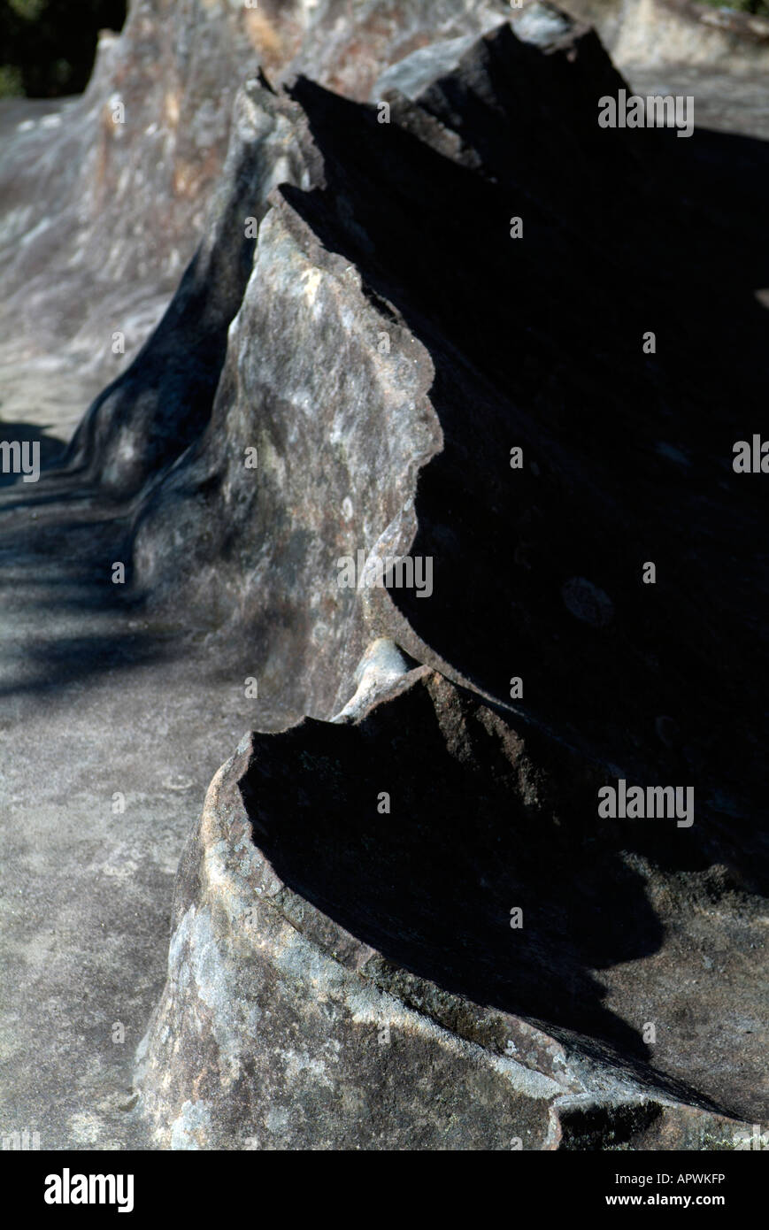 Rock resembling an animal hires stock photography and images Alamy