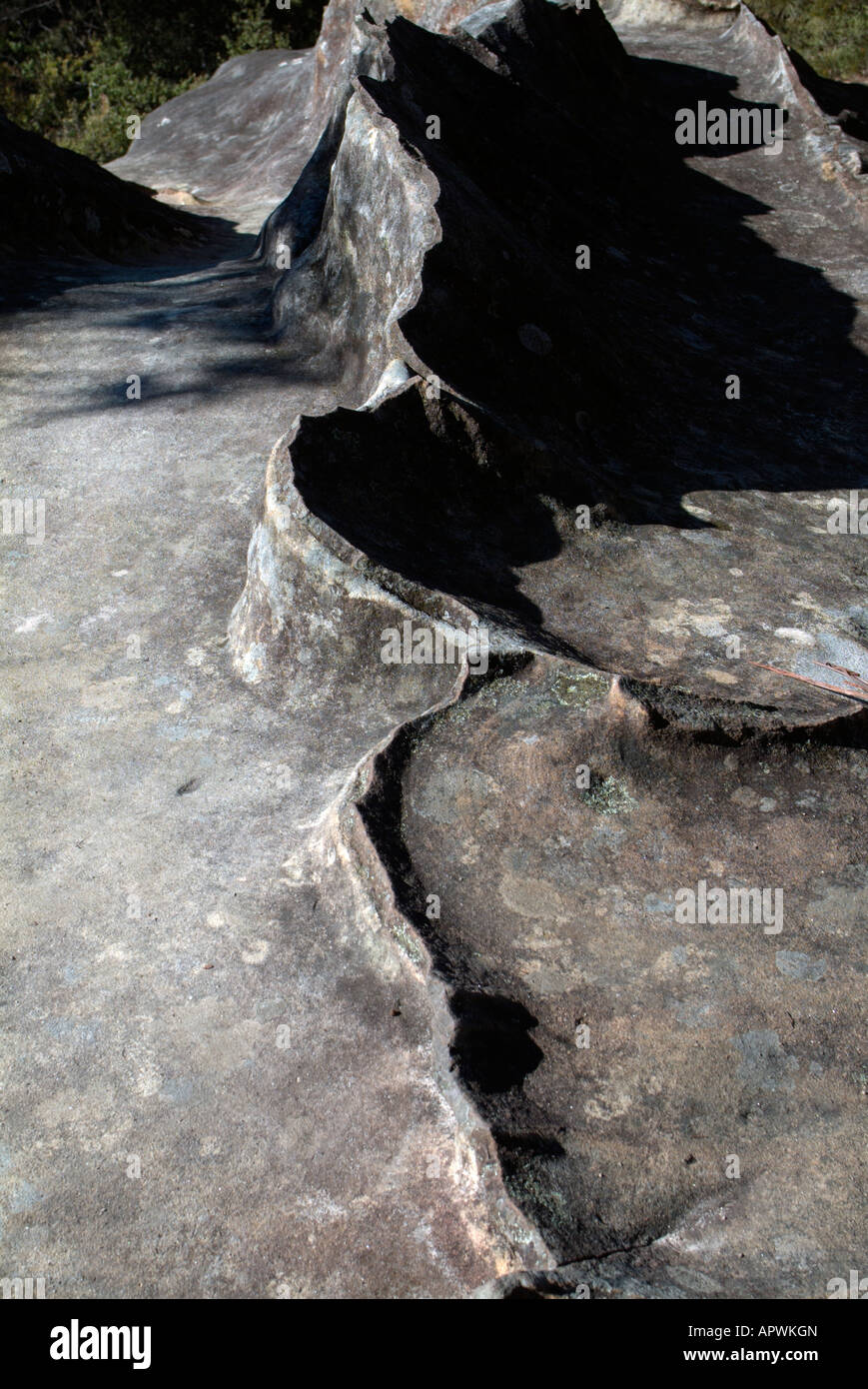 Rock resembling an animal hi-res stock photography and images - Alamy