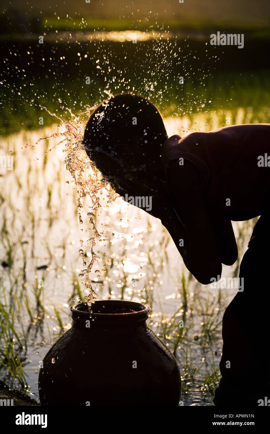 Silhouette of a rural Indian village boy face washing from a clay pot next to of a rice paddy field. Andhra Pradesh, India Stock Photo