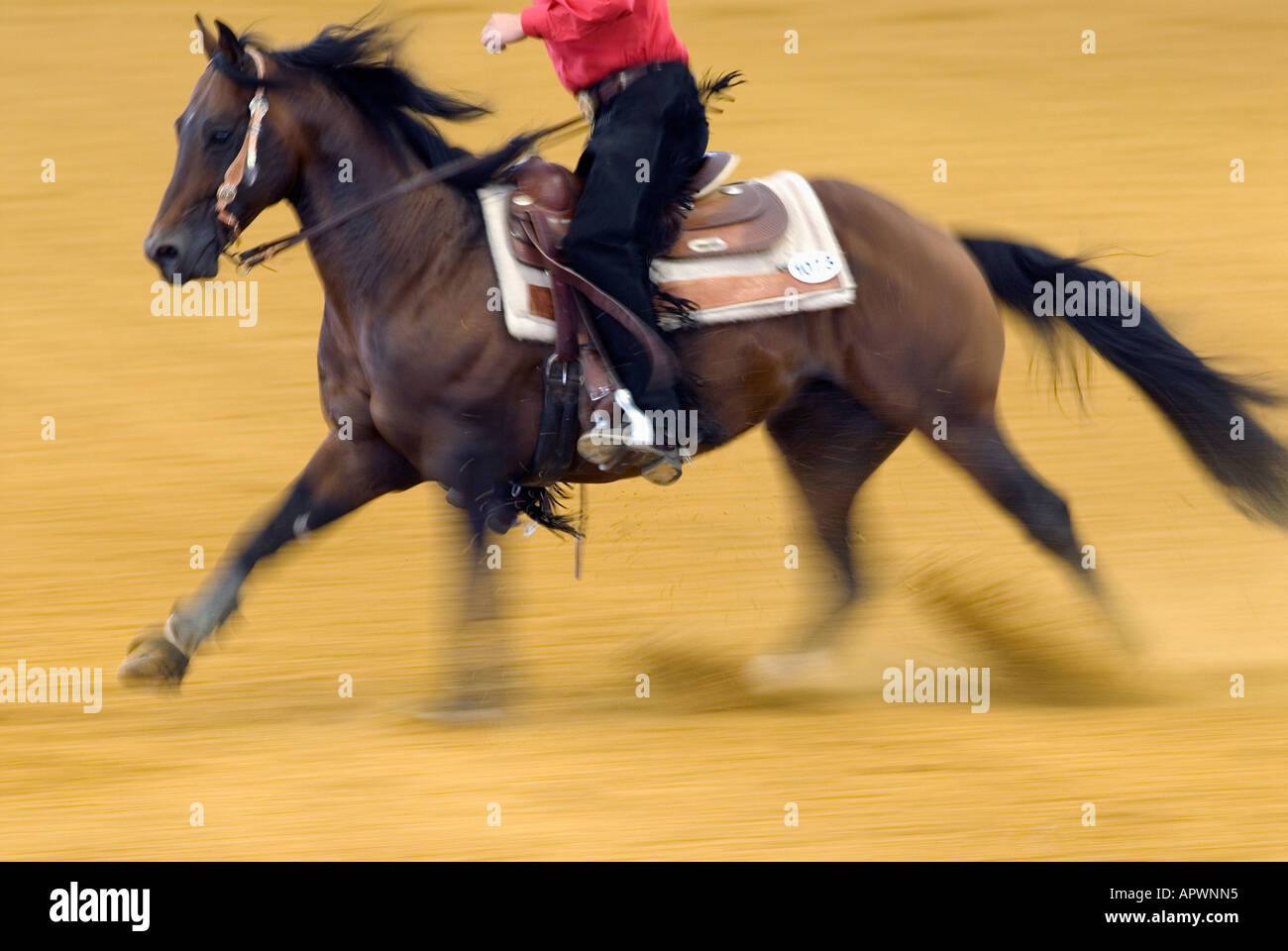 World Equestrian Games 2006 in Aachen Reining Stock Photo Alamy
