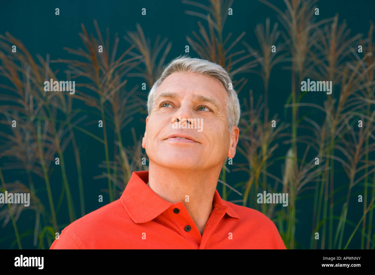 Person wearing red shirt hi-res stock photography and images - Alamy