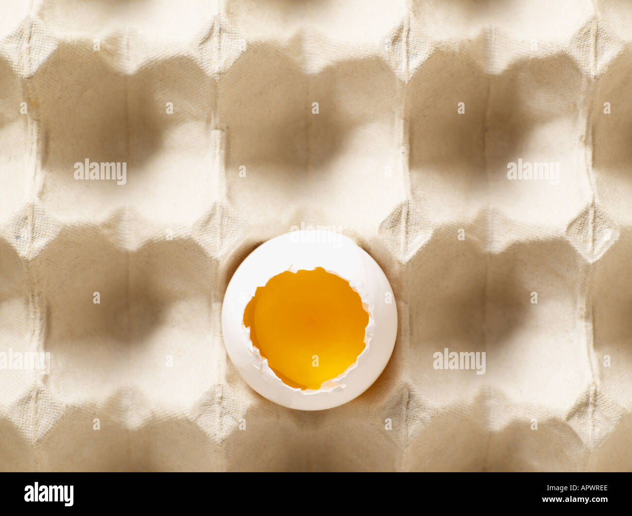 Broken egg in carton Stock Photo Alamy