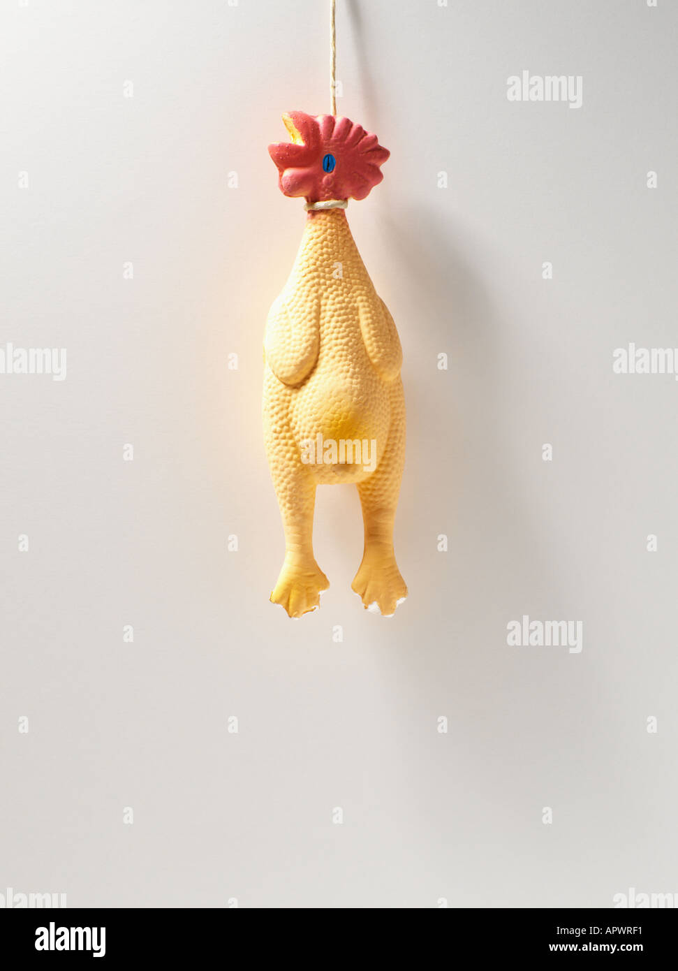 Rubber Chicken Hanging On A Wall Stock Photo Alamy