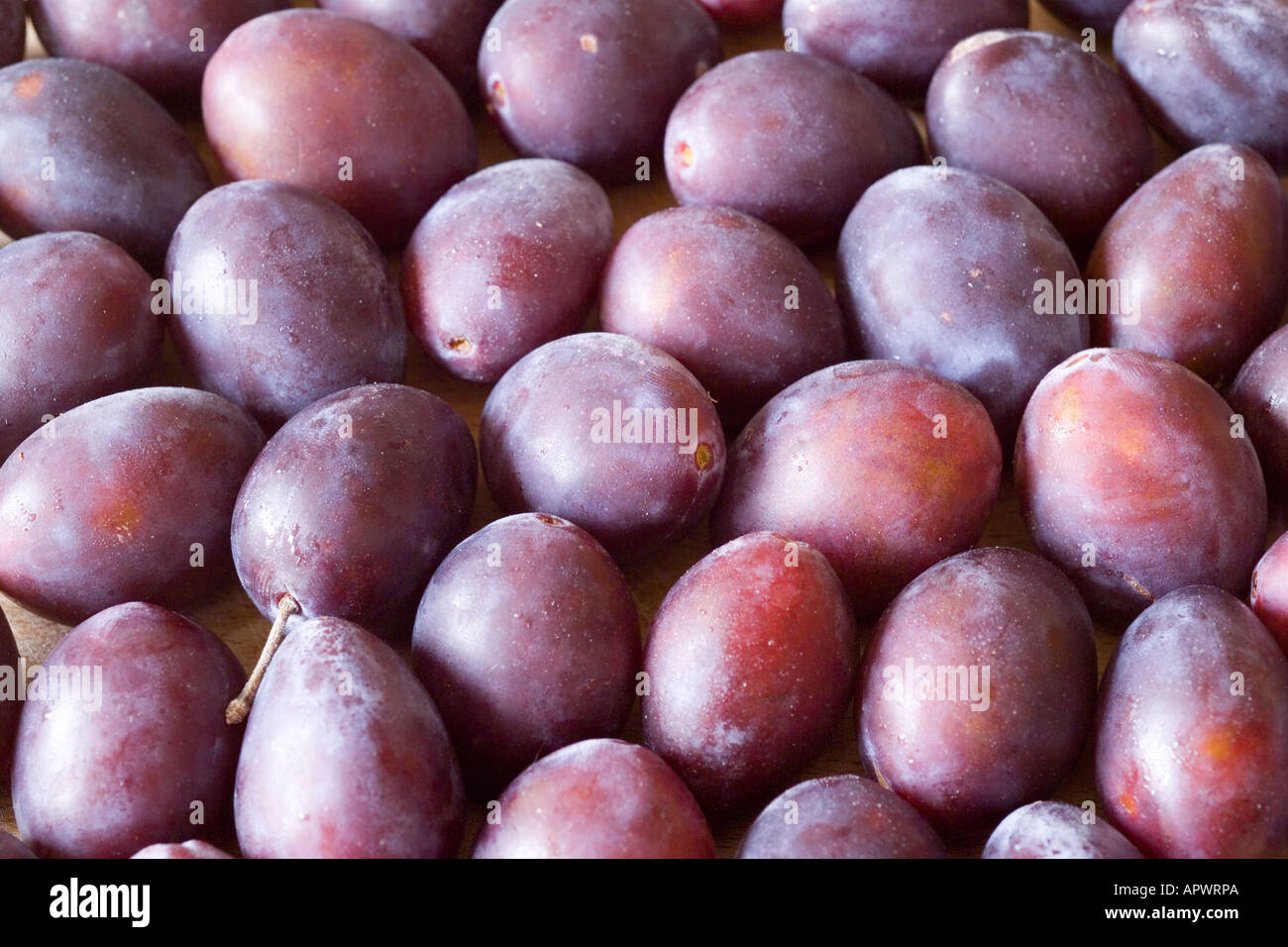 Plums Prunus Stock Photo