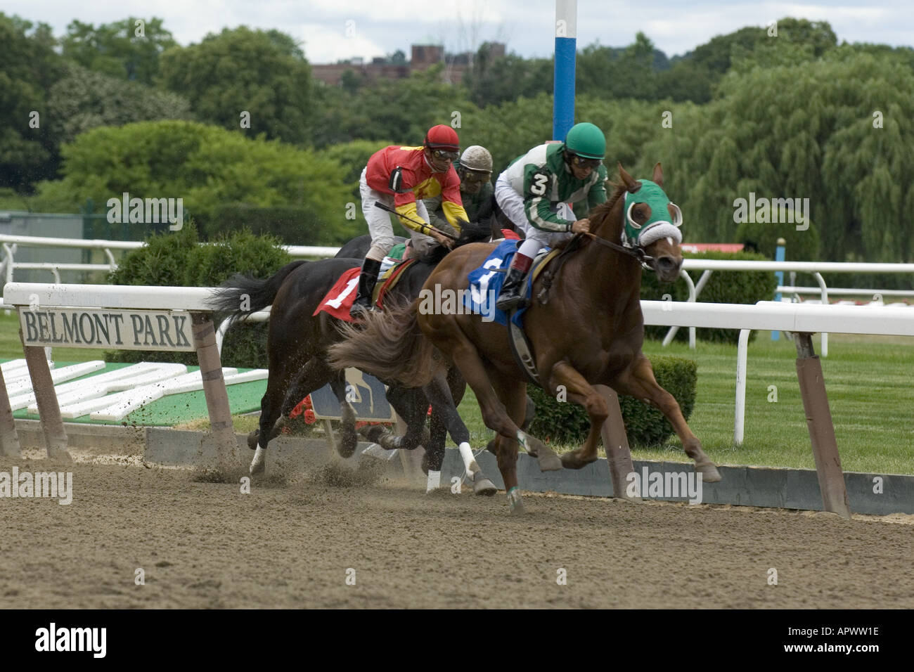 Horses cross the finish at Belmont Park New York Stock Photo Alamy