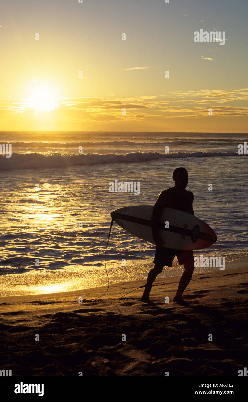 Surfer silhouette sunset hawaii hi-res stock photography and images - Alamy