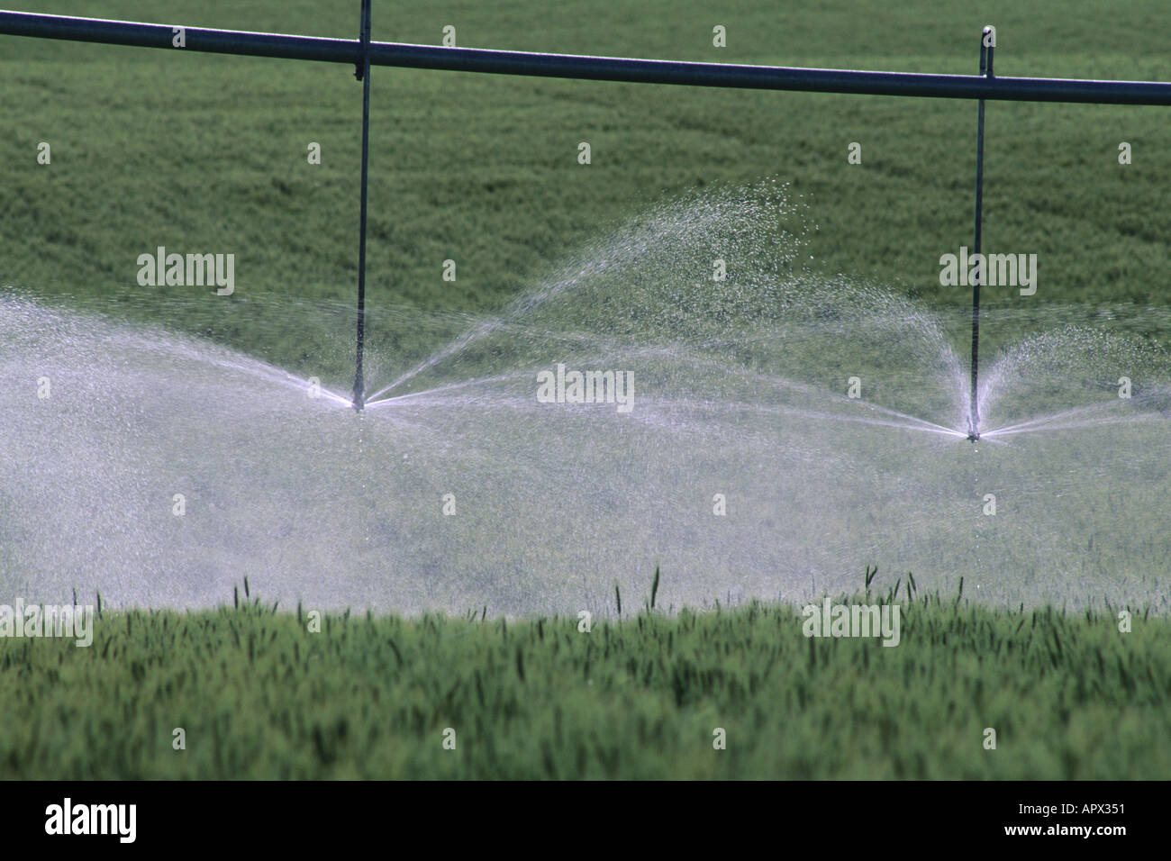 Sprinkler pivot irrigation in eastern Idaho wheat field  Stock Photo