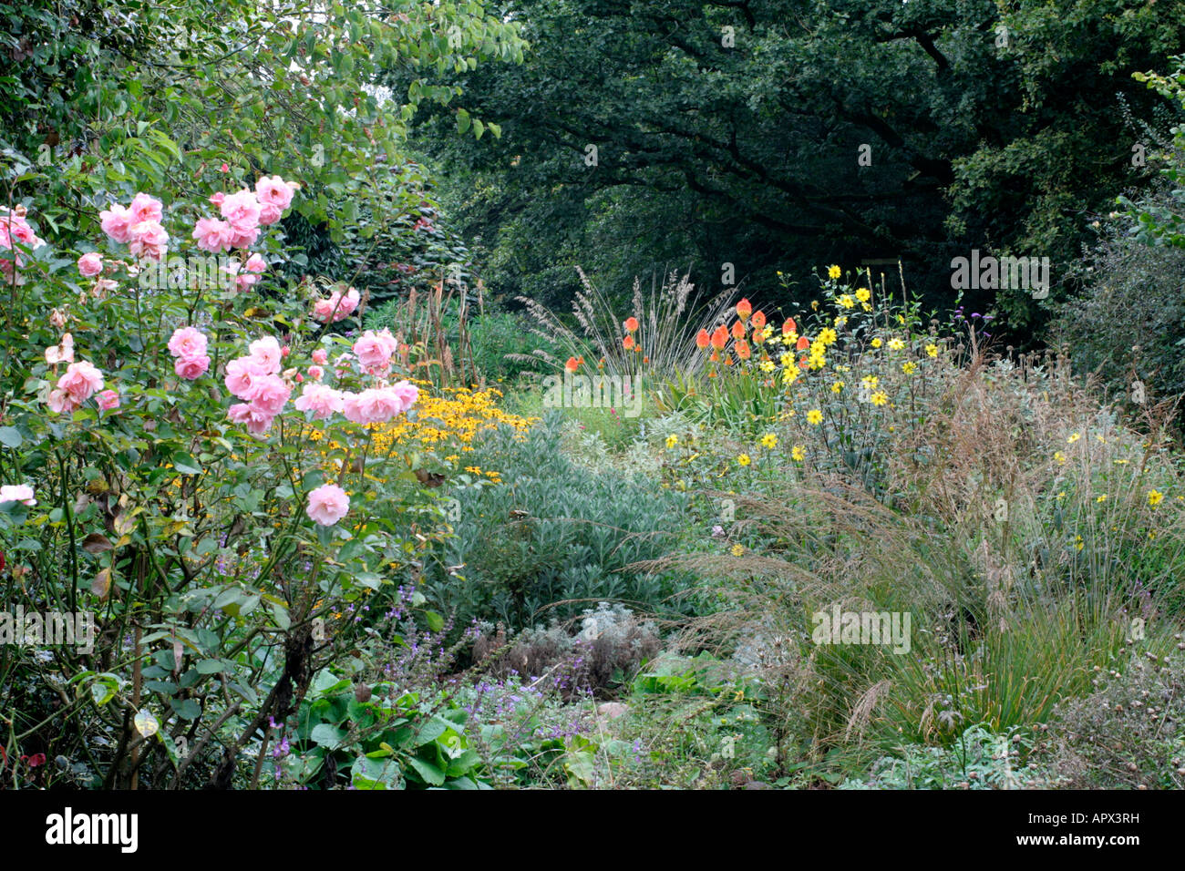 THE STONE GARDEN AT HOLBROOK IN MID SEPTEMBER Stock Photo