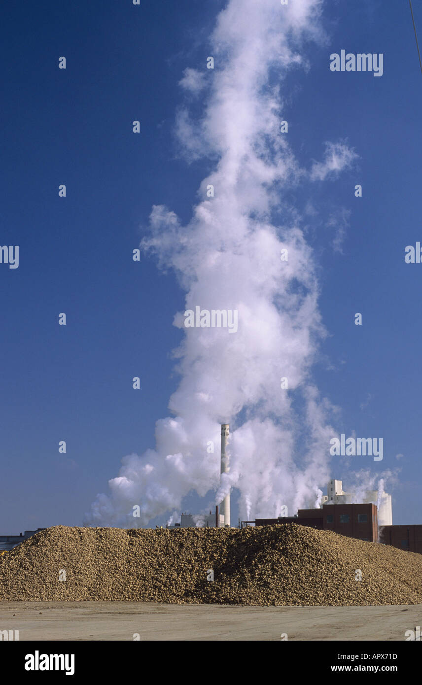 Sugar beet factory hires stock photography and images Alamy
